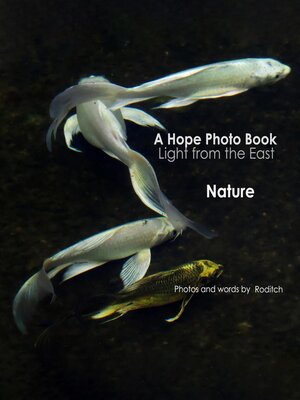 cover image of A Hope Photo Book--Light from the East--Nature